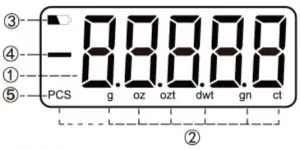 Fiziom Professional Digital Scale User Manual