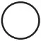 Circle Icon