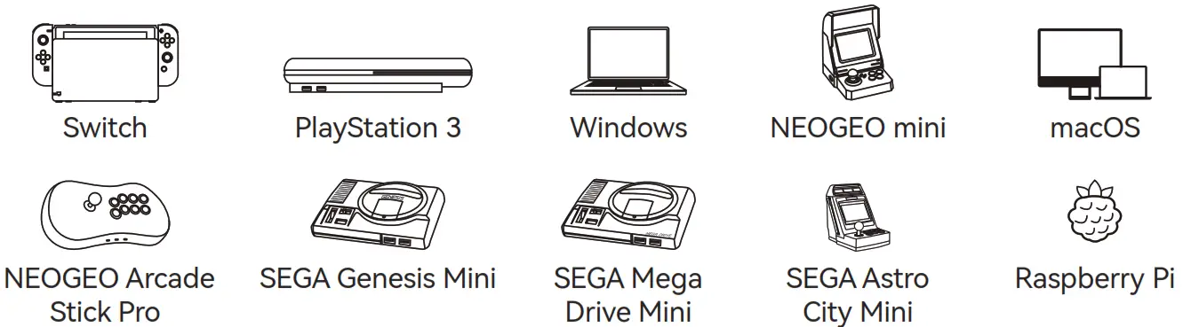 MAYFLASH MAGIC-NS Lite USB Wireless Adapter - Syestem