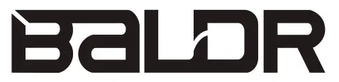 baldr logo 1