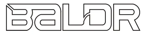 baldr logo