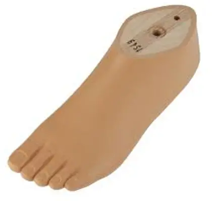 ottobock SACH Foot Men Toes - fig3