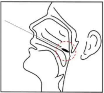 GenBody COVID-19 Ag Immunochromatographic Rapid Diagnostic Test - 1