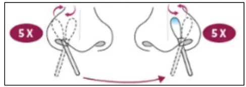 GenBody COVID-19 Ag Immunochromatographic Rapid Diagnostic Test - 2