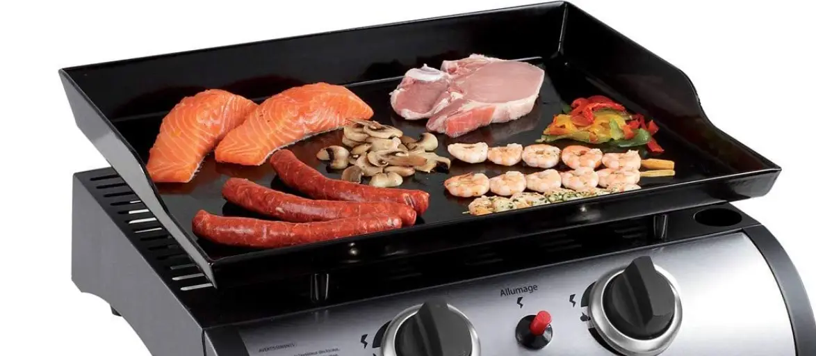 Livoo Doc276 Plancha Gaz 2 Burners Instruction Manual