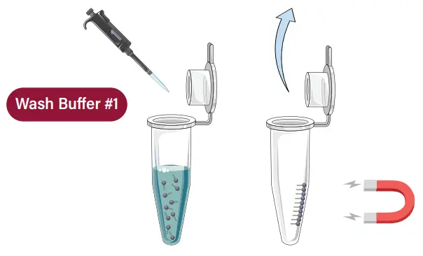 GALENVS 20220407 Viral RNA Extraction Kit - fig3