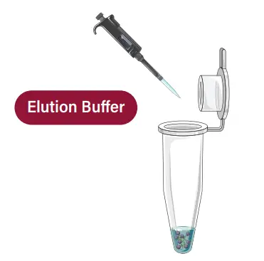 GALENVS 20220407 Viral RNA Extraction Kit - fig5