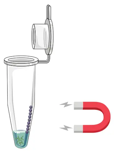 GALENVS 20220407 Viral RNA Extraction Kit - fig6