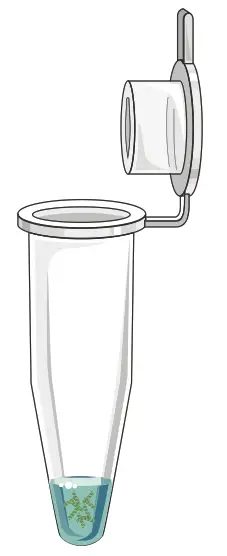 GALENVS 20220407 Viral RNA Extraction Kit - fig7