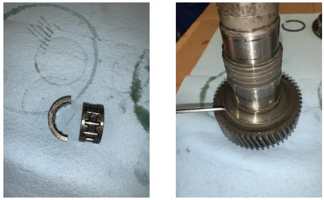 NWF-VF2-Eco-Crawler-fig-11