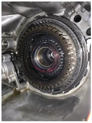 NWF-VF2-Eco-Crawler-fig-16