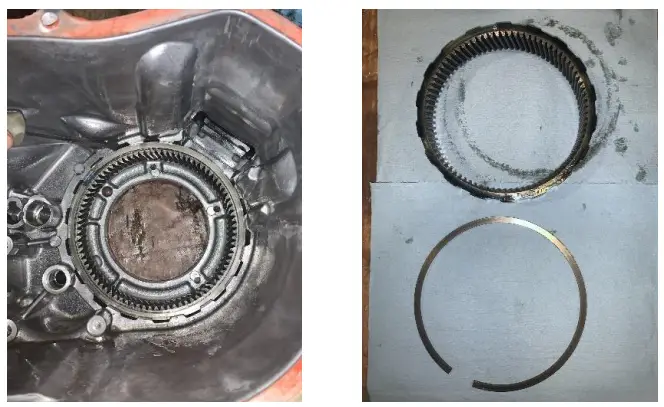 NWF-VF2-Eco-Crawler-fig-20