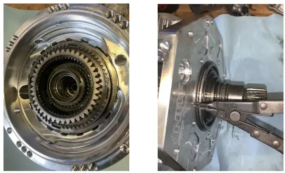 NWF-VF2-Eco-Crawler-fig-26