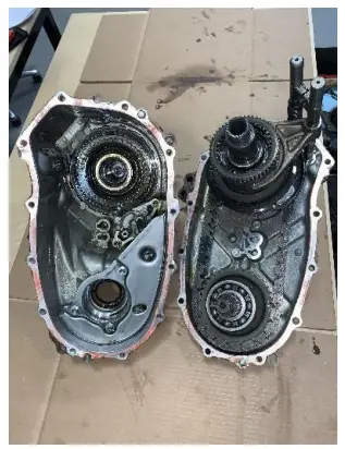 NWF-VF2-Eco-Crawler-fig-5