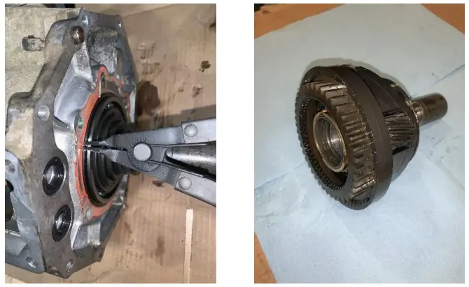 NWF-VF2-Eco-Crawler-fig-8