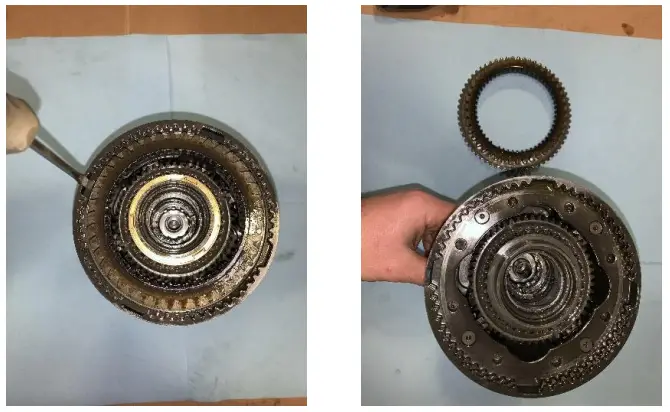 NWF-VF2-Eco-Crawler-fig-9