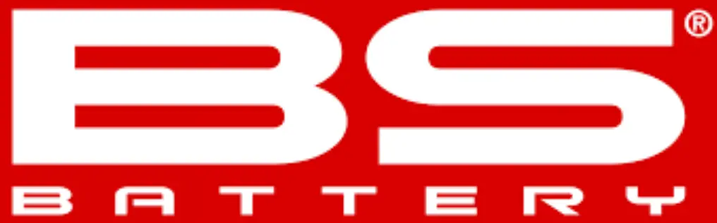 BS-BATTERY-SSV-Big-Power-for-Big-Inches-LGOO