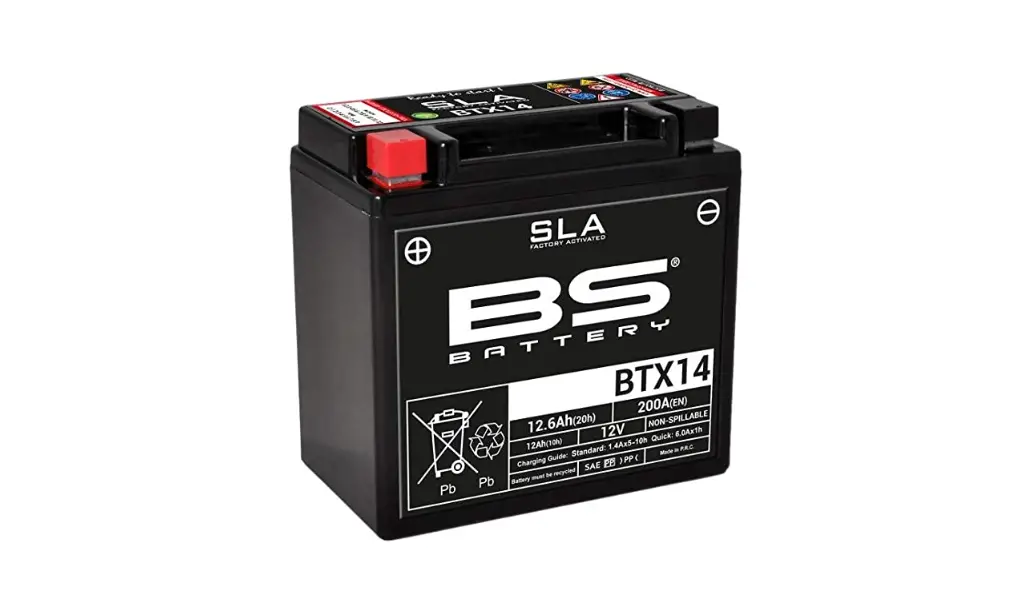 Bs Battery Ssv Big Power For Big Inches Owner's Manual