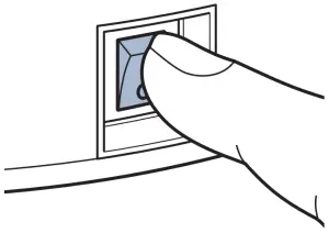 BISSELL 2908F - Manual Cleaning 1