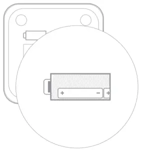 Install the batteries