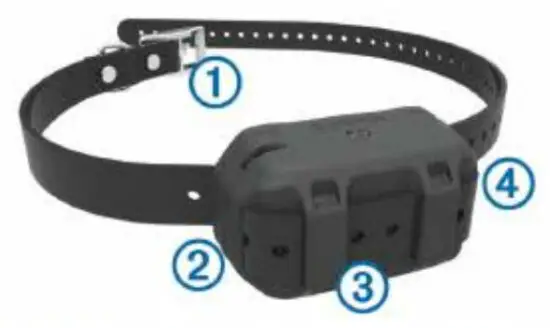 GARMIN 010 01205 50 Sport Pro Handheld Dog Training Device - Collar