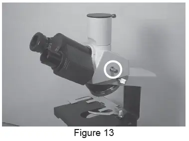 VANGUARD-1210CM-1211CM-COMPOUND-MICROSCOPE-fig17