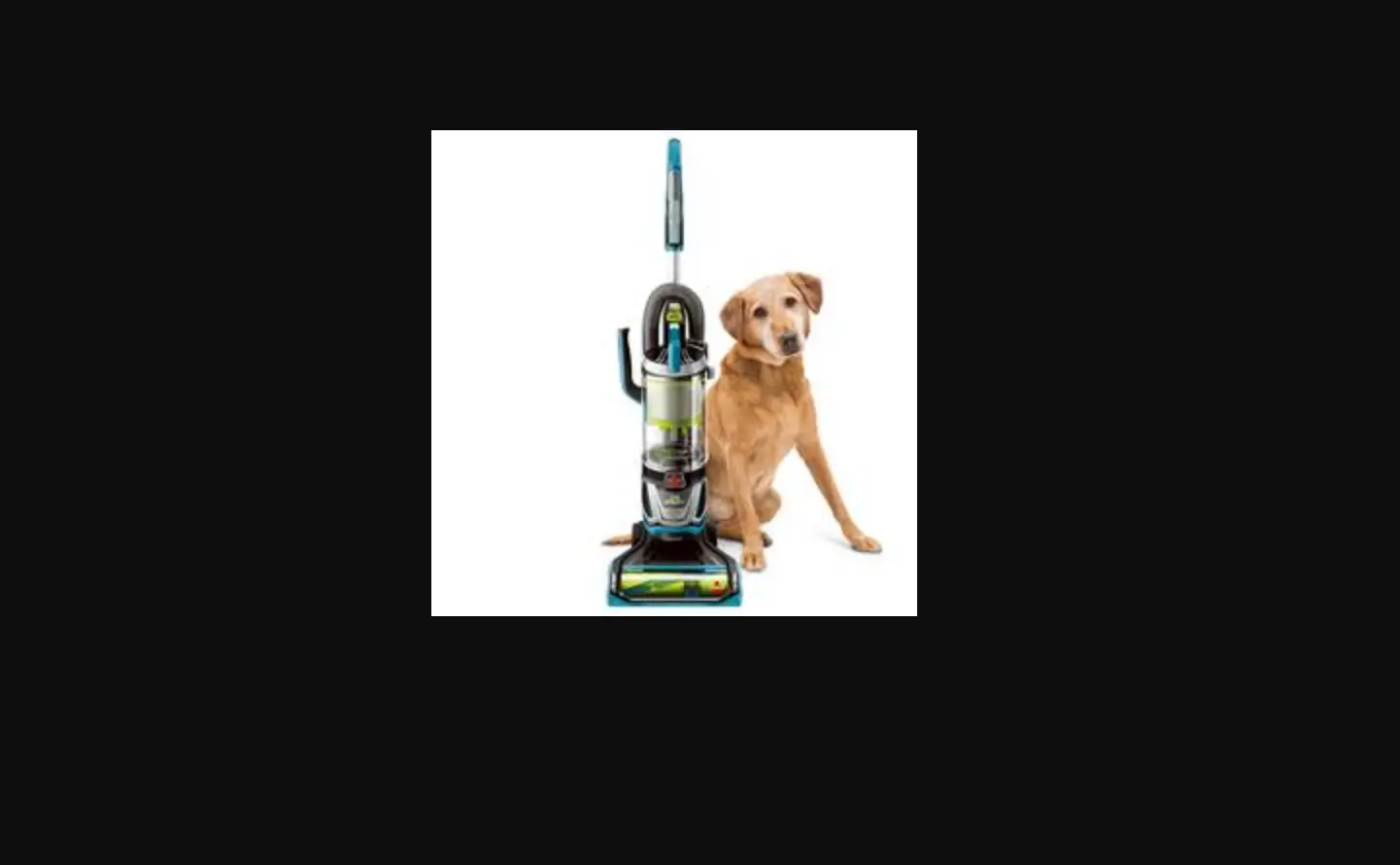 My Pet Hair Eraser® Lift-off® Upright Pet Vacuum Has An Unusual Smell/bad Odor | Support My Pet Hair Eraser® Lift-off® Upright Pet Vacuum Has An Unusual Smell/bad Odor | Support