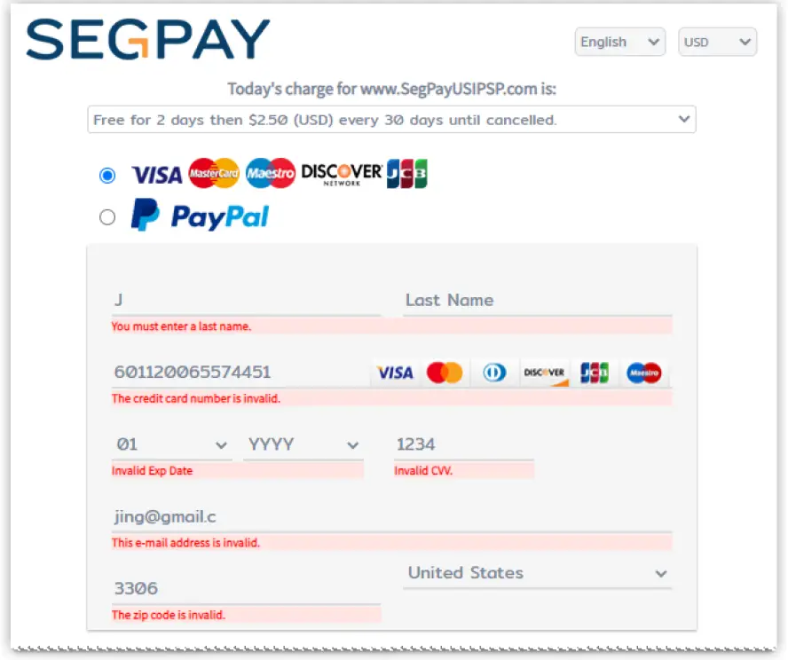 SEGPAY Pay Page Errors 1