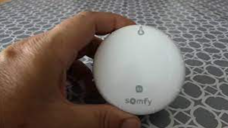 Somfy 1822303 Thermis Wirefree Ii Io Temperature Sensor Instructions