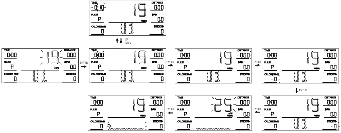 SUNNY SF-RW5983 Carbon Premium Air Magnetic Rowing Machine  user mode (program 19-22)