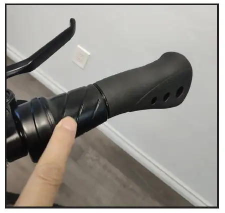 SLANE ACADIAN TRIKE e-bike 2