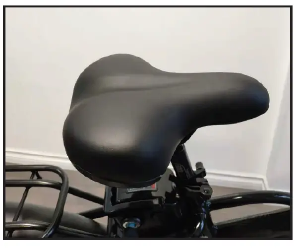 SLANE ACADIAN TRIKE e-bike 9