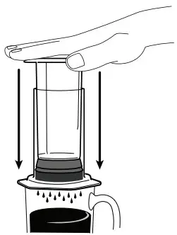 AEROPRESS Hod and Cold Brew Coffee Maker - Insert plunger