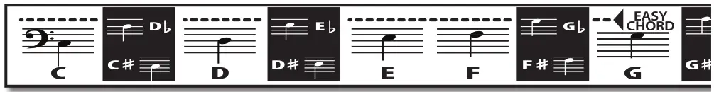 BONTEMPI 15 3780 Digital Keyboard - 10