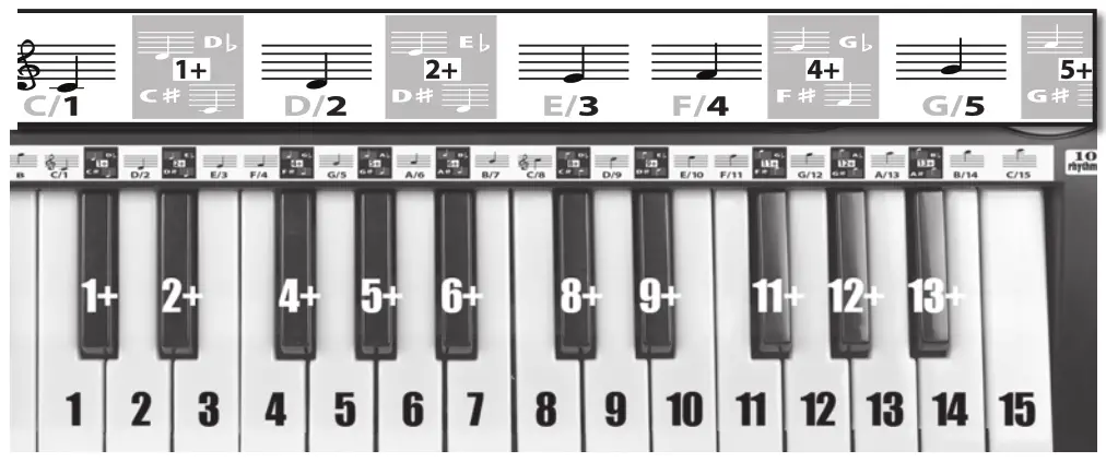 BONTEMPI 15 3780 Digital Keyboard - 5