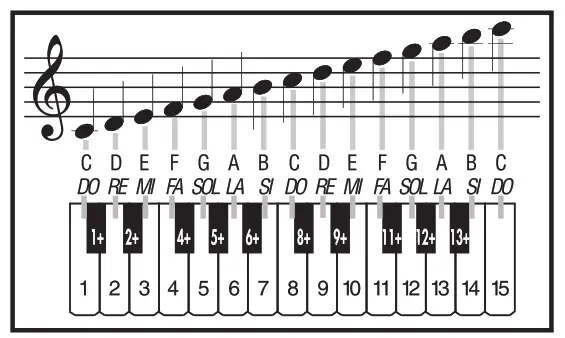 BONTEMPI 15 3780 Digital Keyboard - 7