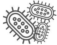 BACTERIA AND VARIOUS CONTAMINANTS