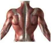 Shenzhen Haohan Wujiang Technology UF01 Fascia Massage Gun- Neack shoulder