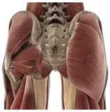 Shenzhen Haohan Wujiang Technology UF01 Fascia Massage Gun- sacroiliac