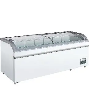 SCANCOOL XS 602 E Commercial Ice Cream Freezer- Display Freezer