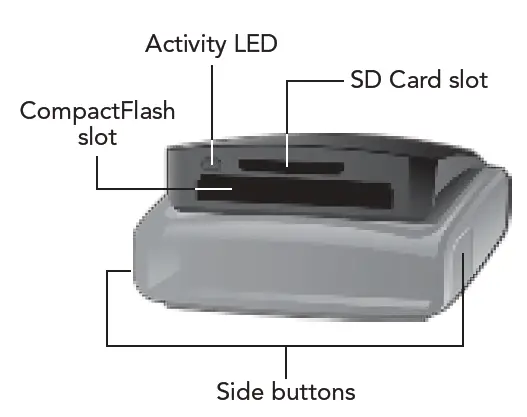 A Quick Look at the Reader