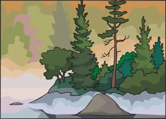 HarperCollins Touching Spirit Bear