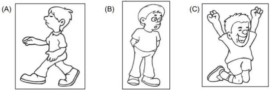 HarperCollins Touching Spirit Bear - figure 1