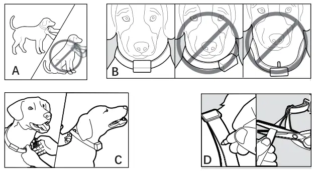 PATPET-B800-Anti-Barking-Collars-fig-8