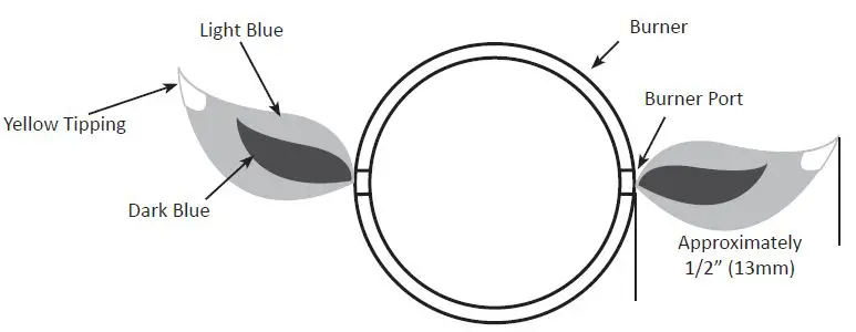 NAPOLEON TQ240 Portable Gas Barbecue 9