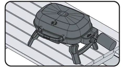 NAPOLEON TQ240 Portable Gas Barbecue 7