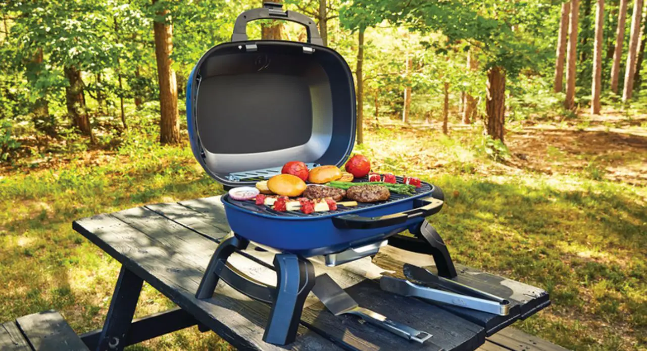 Napoleon Tq240 Portable Gas Barbecue User Manual