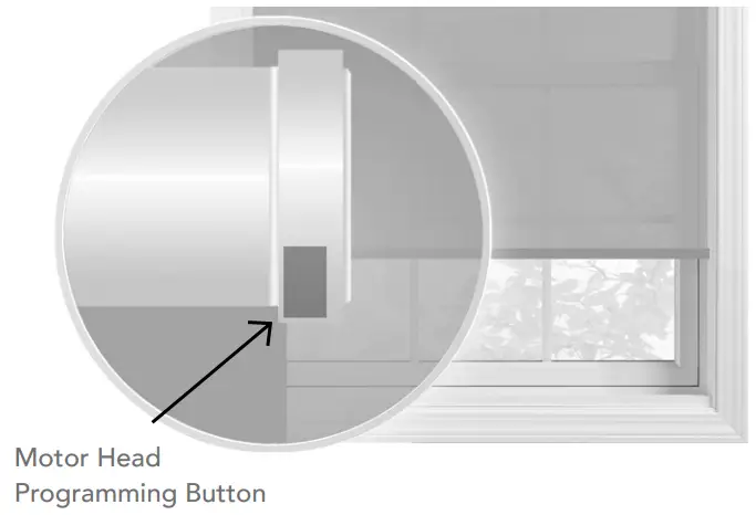 somfy RTS Motorized Shades