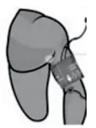 Dr Trust 101 Blood Pressure Smart with MDI - 5