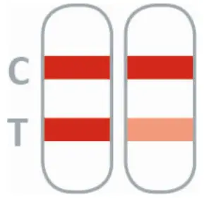 Result Interpretation